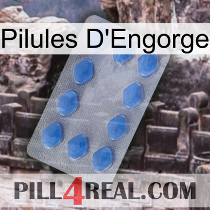 Engorge Pills 21
